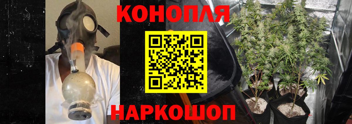Каннабис тримм  МАРИХУАНА планчик  Клин  Вход с VPN  Бошки марихуана MAZAR  Бошки Шишки марихуана 